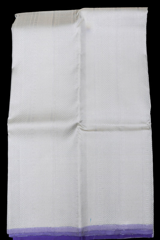 Silver tissue looks saree