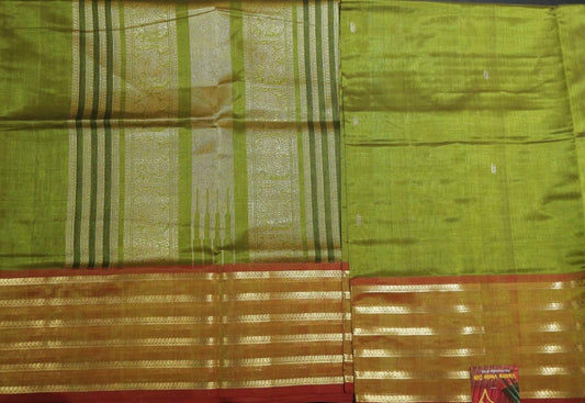 Olive green saree