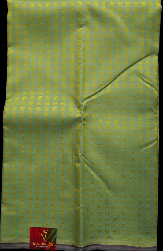 Pista green saree
